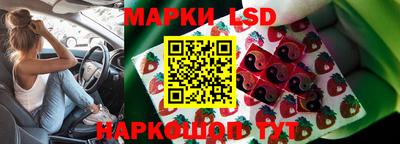 PSILOCYBIN Добрянка