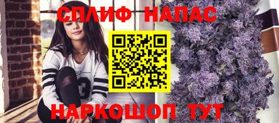 индика Долгопрудный