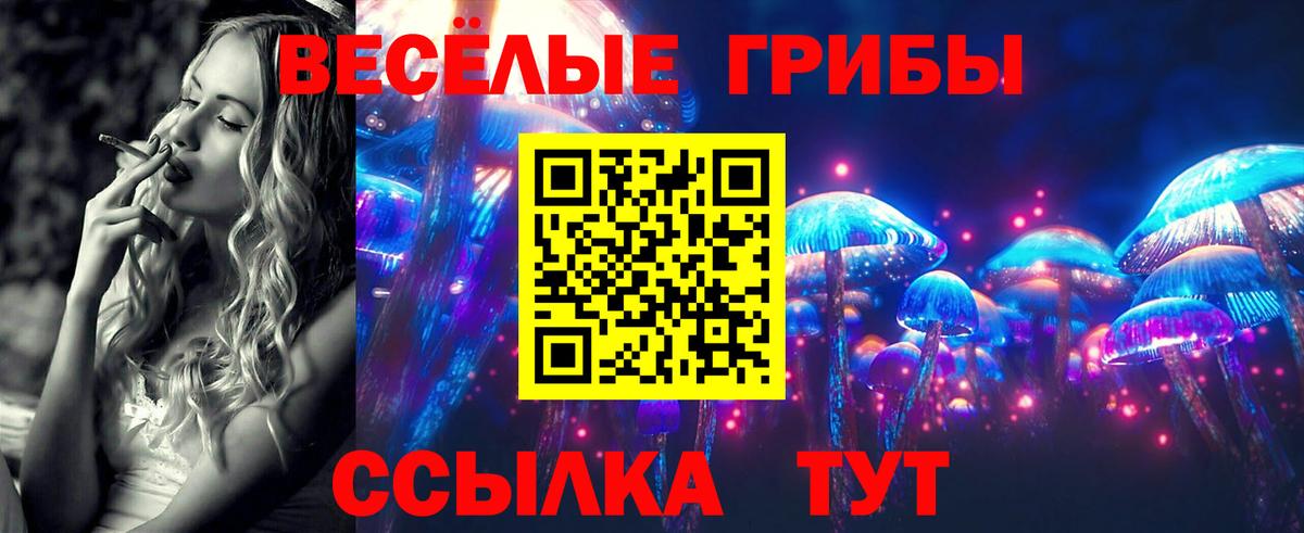 Псилоцибиновые грибы MAGIC MUSHROOMS  Вход с VPN  Асбест  Галлюциногенные грибы GOLDEN TEACHER 