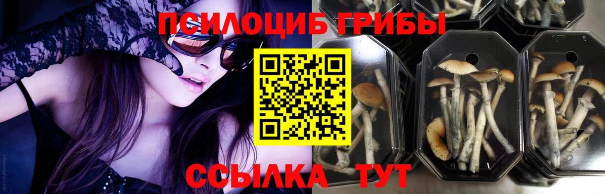 Псилоцибиновые грибы ЛСД Асбест